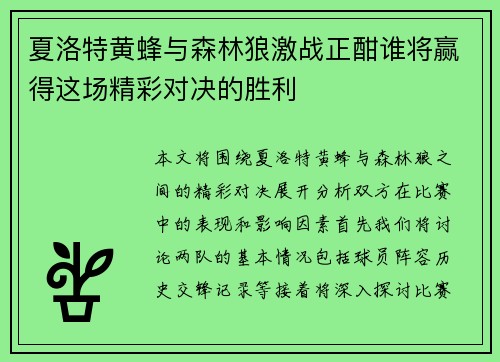 夏洛特黄蜂与森林狼激战正酣谁将赢得这场精彩对决的胜利